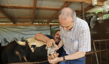 Hendek’te kesimhaneler denetlendi.